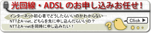 光回線(Bフレッツ・フレッツ光プレミアム・フレッツ光ネクスト)・ADSLのお申込みお任せ！回線もプロバイダーもエースネットにお任せ下さい